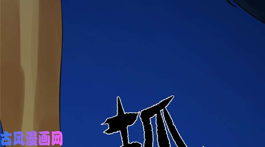 毒步天下：特工神医小兽妃29