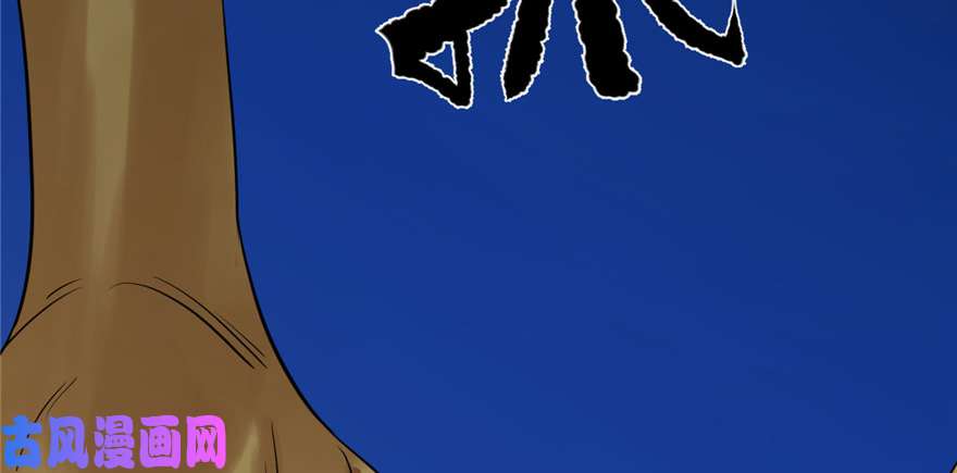 毒步天下：特工神医小兽妃29