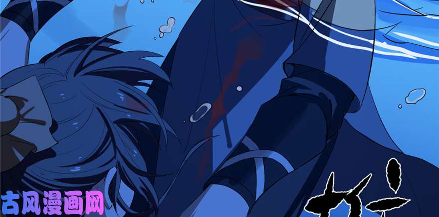 毒步天下：特工神医小兽妃29