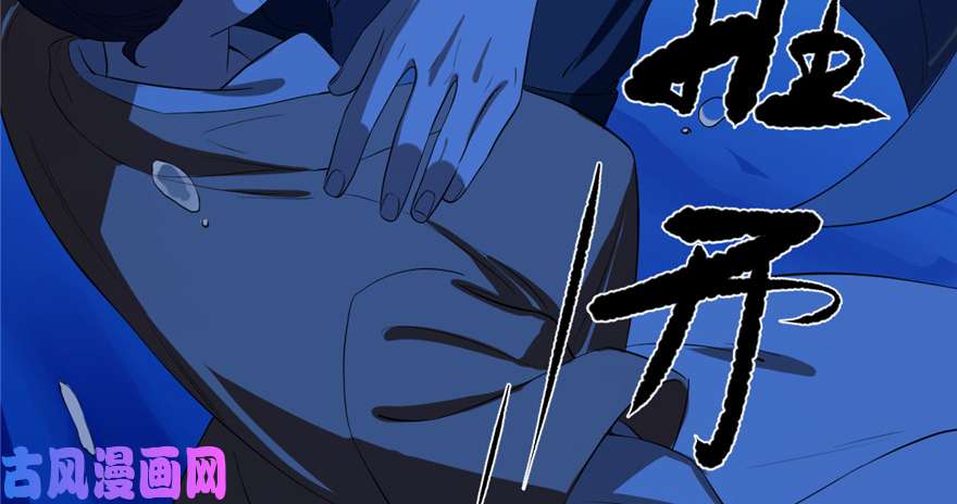 毒步天下：特工神医小兽妃29