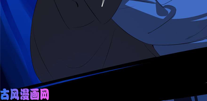 毒步天下：特工神医小兽妃29