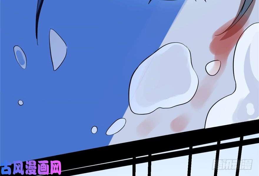 毒步天下：特工神医小兽妃29