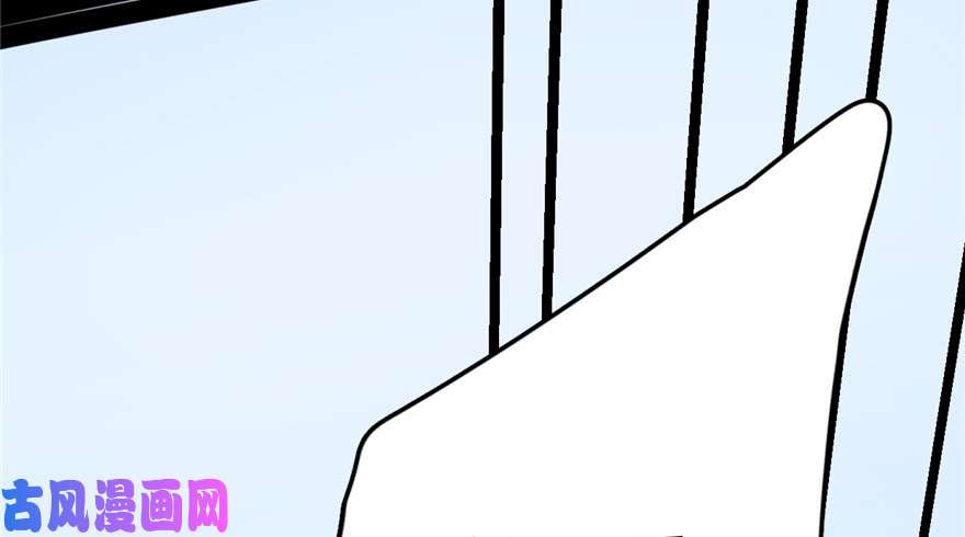 毒步天下：特工神医小兽妃29