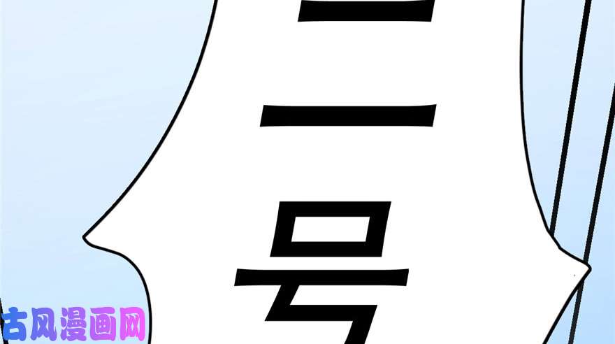 毒步天下：特工神医小兽妃29