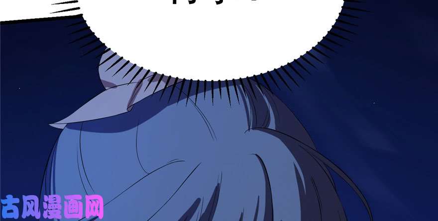 毒步天下：特工神医小兽妃29