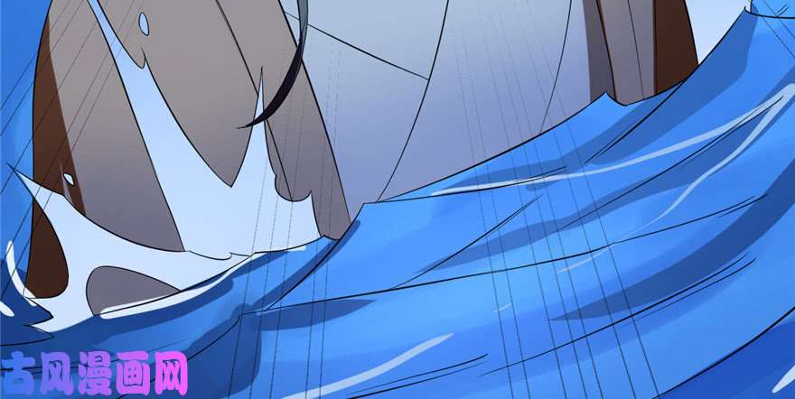 毒步天下：特工神医小兽妃29