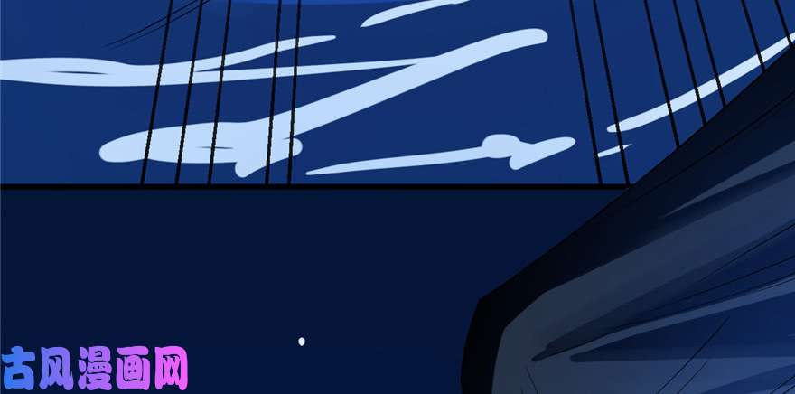 毒步天下：特工神医小兽妃29