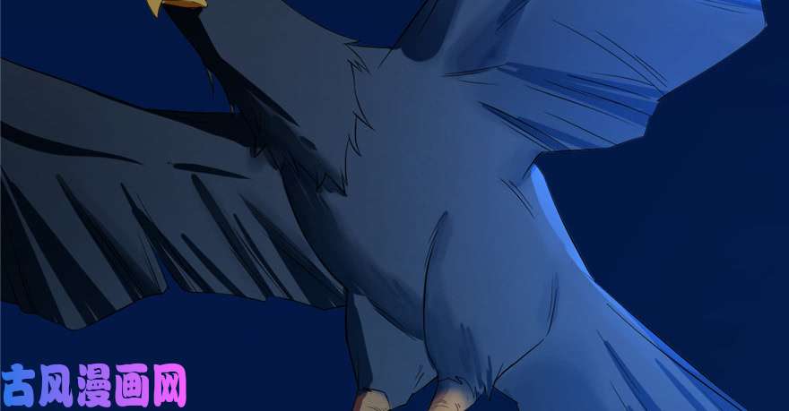 毒步天下：特工神医小兽妃29