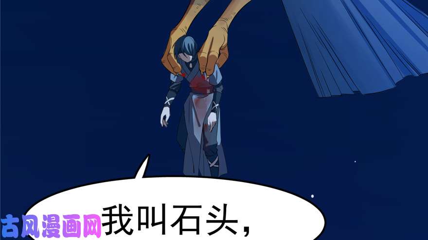 毒步天下：特工神医小兽妃29