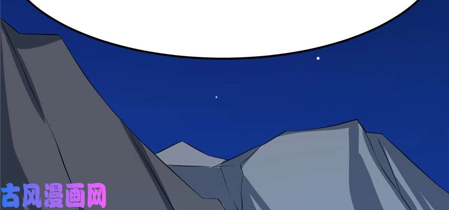 毒步天下：特工神医小兽妃29