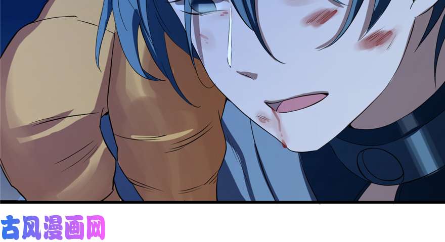 毒步天下：特工神医小兽妃29