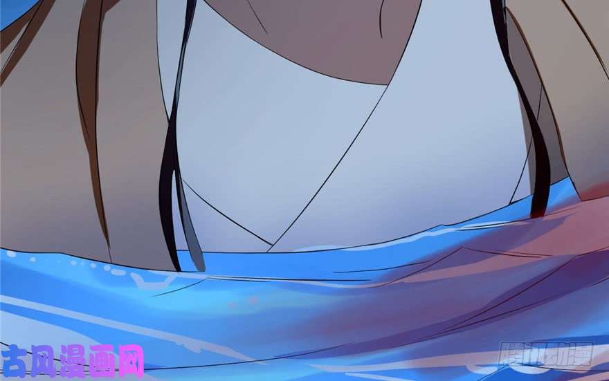 毒步天下：特工神医小兽妃29