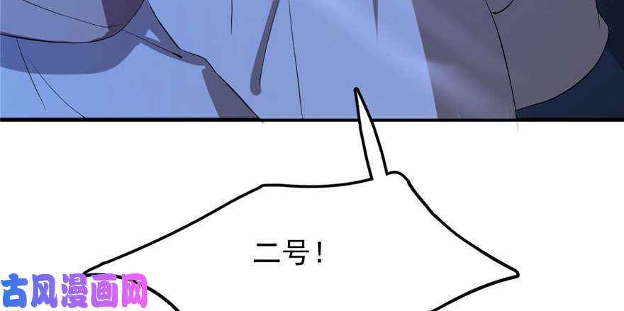 毒步天下：特工神医小兽妃29