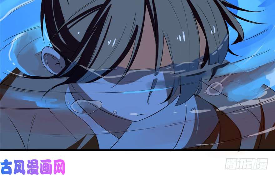 毒步天下：特工神医小兽妃29