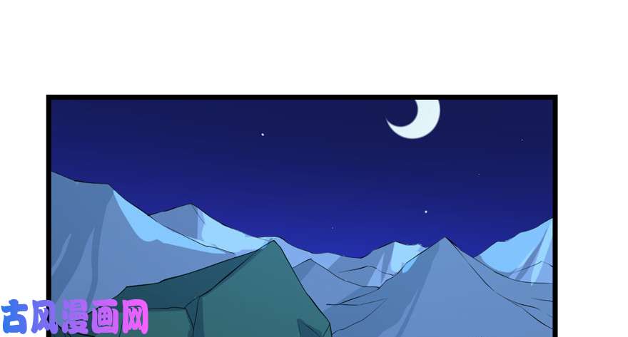 毒步天下：特工神医小兽妃29