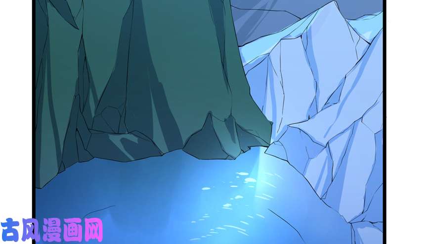 毒步天下：特工神医小兽妃29