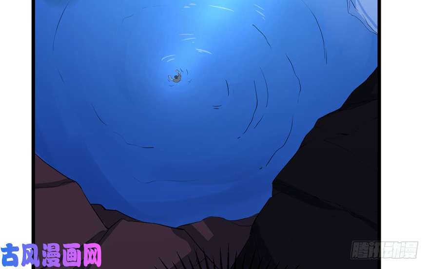 毒步天下：特工神医小兽妃29