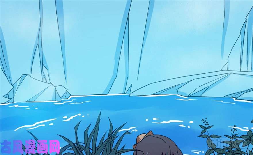 毒步天下：特工神医小兽妃30