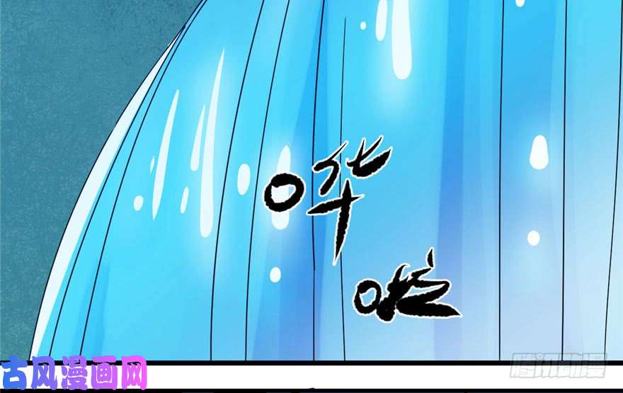 毒步天下：特工神医小兽妃30