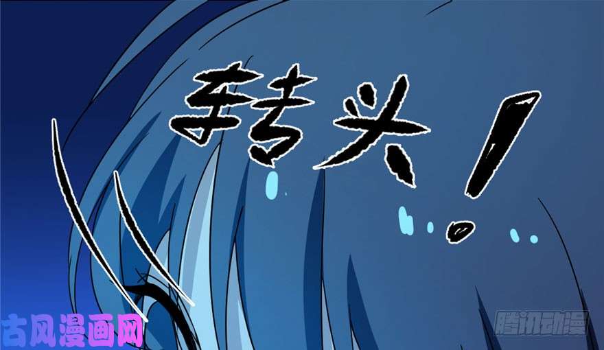 毒步天下：特工神医小兽妃30