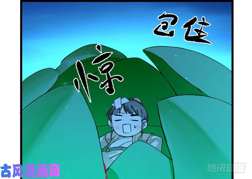 毒步天下：特工神医小兽妃31