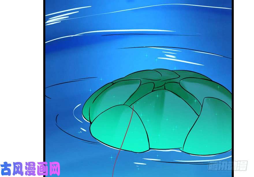 毒步天下：特工神医小兽妃31