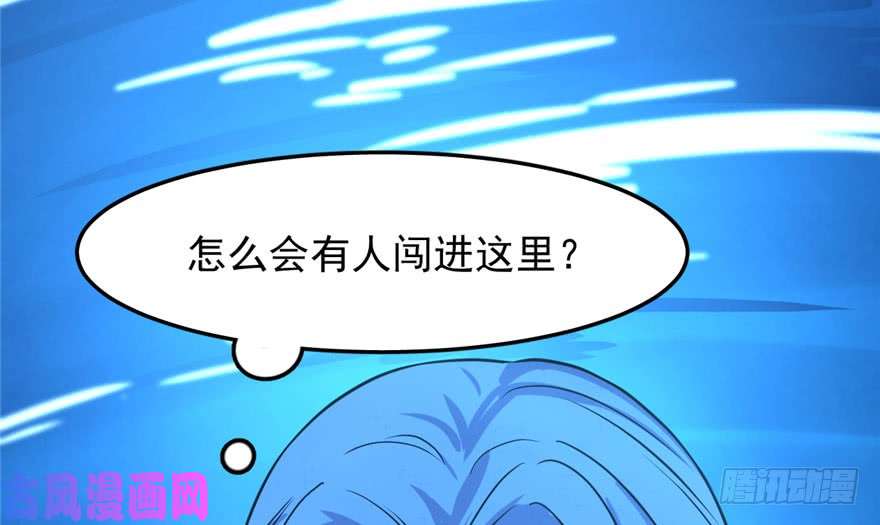 毒步天下：特工神医小兽妃31