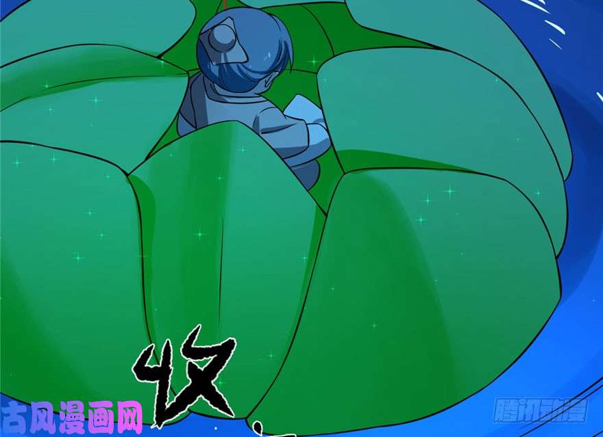 毒步天下：特工神医小兽妃31