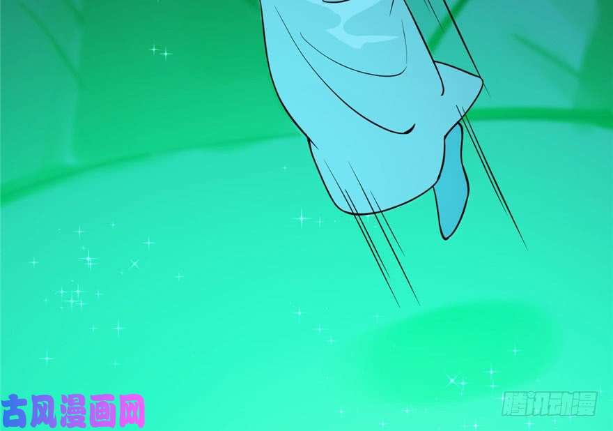 毒步天下：特工神医小兽妃31