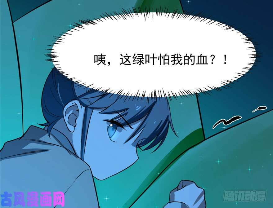 毒步天下：特工神医小兽妃31