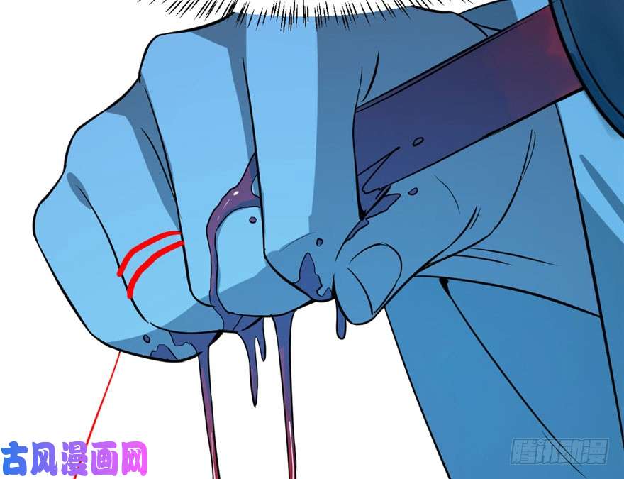 毒步天下：特工神医小兽妃31