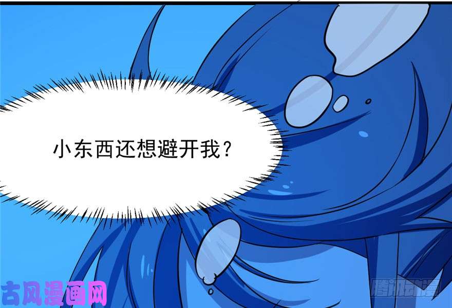 毒步天下：特工神医小兽妃31