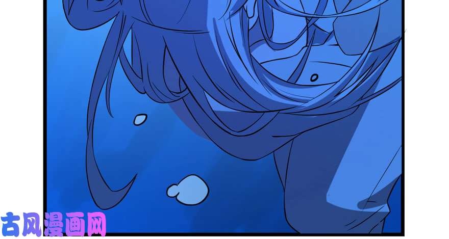 毒步天下：特工神医小兽妃31