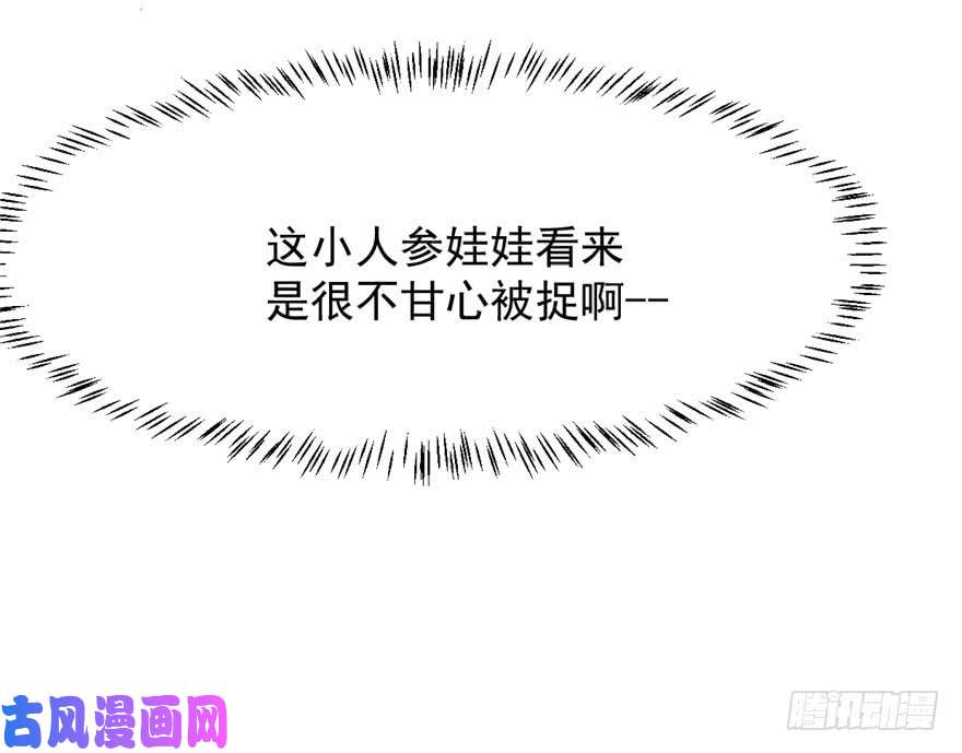 毒步天下：特工神医小兽妃31