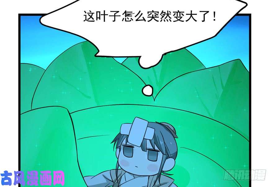 毒步天下：特工神医小兽妃31