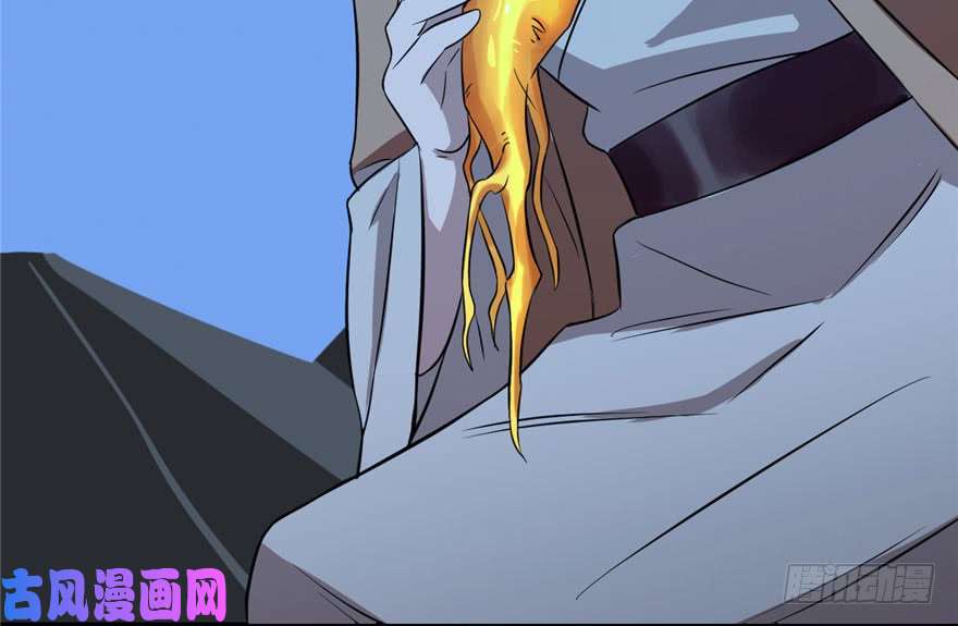 毒步天下：特工神医小兽妃32