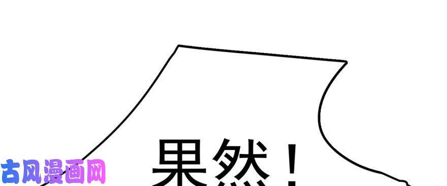 毒步天下：特工神医小兽妃33