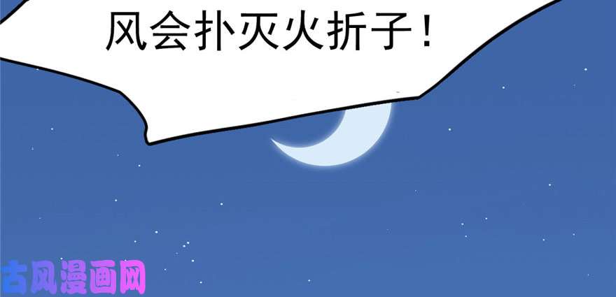 毒步天下：特工神医小兽妃33