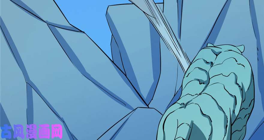 毒步天下：特工神医小兽妃33