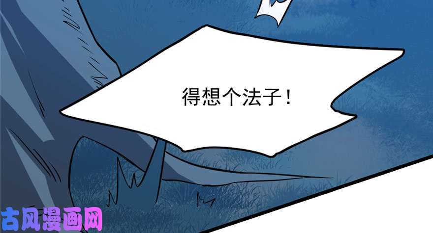 毒步天下：特工神医小兽妃33