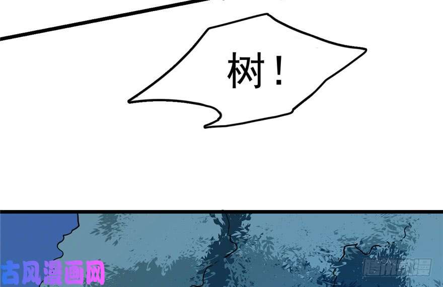 毒步天下：特工神医小兽妃33