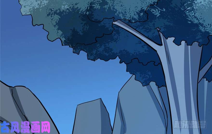 毒步天下：特工神医小兽妃33