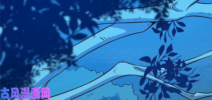 毒步天下：特工神医小兽妃33