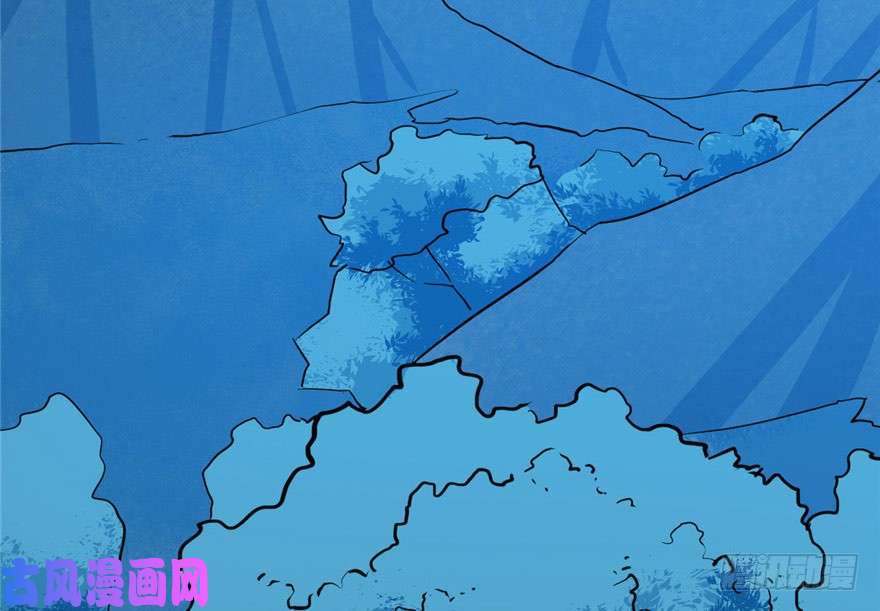 毒步天下：特工神医小兽妃33