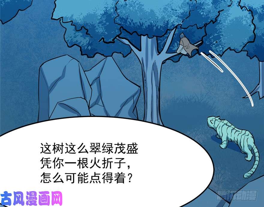 毒步天下：特工神医小兽妃33