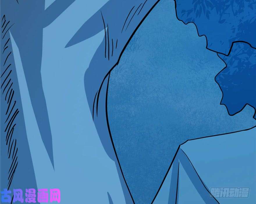 毒步天下：特工神医小兽妃33