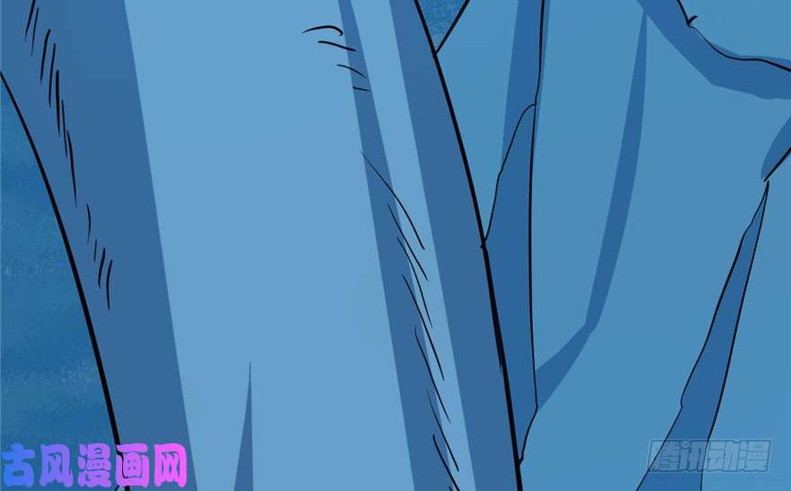 毒步天下：特工神医小兽妃33