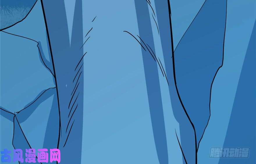 毒步天下：特工神医小兽妃33