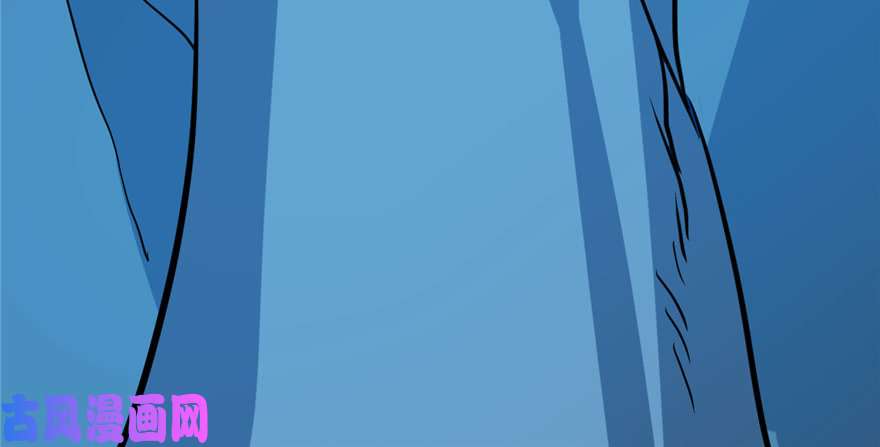 毒步天下：特工神医小兽妃33