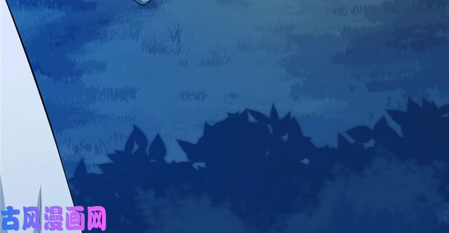 毒步天下：特工神医小兽妃33